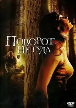 постер Поворот не туда 3