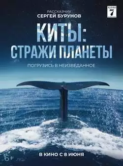 постер Киты