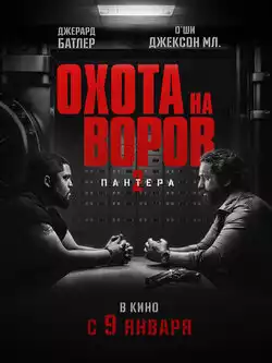 постер Охота на воров 2: Пантера