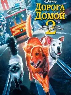 постер Дорога домой 2: Затерянные в Сан-Франциско