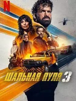 постер Шальная пуля 3