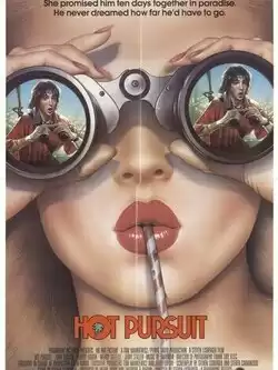 постер Преследование по пятам