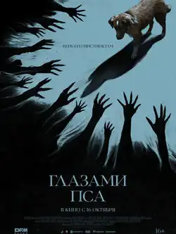 постер Глазами пса