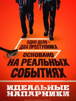 постер Идеальные напарники